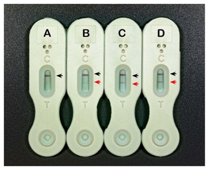 Lateral flow cassettes for positive and negative controls